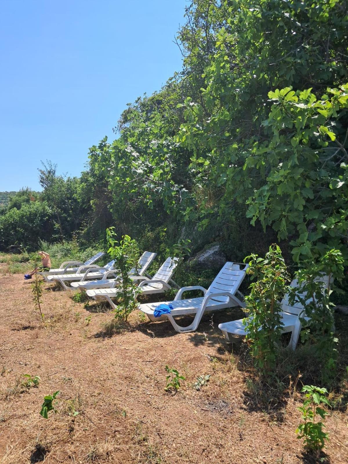 Roleo Guest House Lini Exterior foto