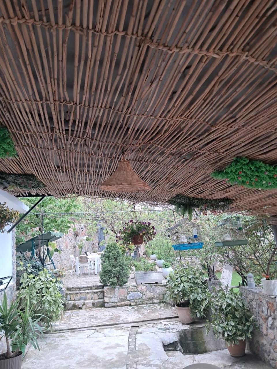 Roleo Guest House Lini Exterior foto